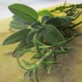 Involtino di Pollo al Cardamomo con Salsa agli[...]