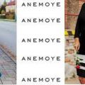 Anemoye, wholesale boutique clothing