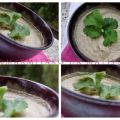 Baba ghanoush a mi manera