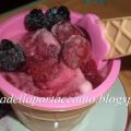 Brina di sorbetto con frutti di bosco profumato[...]