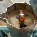 LIQUORE FATTO IN CASA:LIQUORE AL CAFFE' TIPO[...]