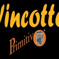 TESTIAMO I PRODOTTI:COLLABORAZIONE VINCOTTO[...]