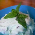 Gelato alla menta e scaglie di cioccolato