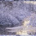 TAG: I Love winter