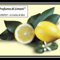 CREMA DI LIMONI