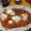 Fettine di pollo alla pizzaiola