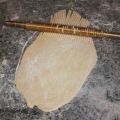 PASTA FRESCA ALL'UOVO TAGLIATA AL BRONZO CON[...]