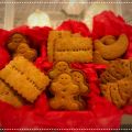 Biscotti integrali