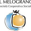 IL MELOGRANO, non solo un frutto ma un azienda[...]