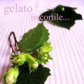 Noisette de crème glacée