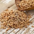 Conosciamo meglio i cereali integrali: il Farro