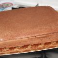 Pan di spagna al cacao