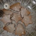 Biscotti natalizi aromatizzati alla cannella