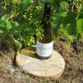Podere Sabbioni, degustando Colli Maceratesi[...]