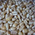 RUBRICA: I CEREALI (QUESTI SCONOSCIUTI):[...]