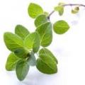 burri aromatizzati