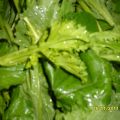 Orecchiette con cime di rapa