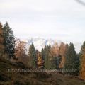 { Laghi di San Giuliano, Parco dell'Adamello[...]