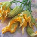 FIORI DI ZUCCHINA ALLA RICOTTA