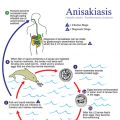 Anisakis e pesce crudo...aggiornamenti!