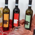 Corte Normanna vini