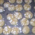 biscotti al limone con bimgy