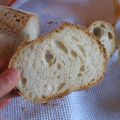 Filoncino di pane con lievito naturale:[...]