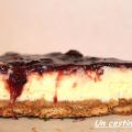 Cheesecake ai frutti di bosco