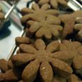 Biscotti al Cacao