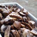 Mercoledì vegano: I funghi. Quali scegliere e[...]