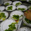 Lezione di cucina del 16 dicembre 2013