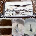 VIENNETTA