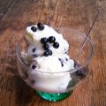 GELATO AL SAMBUCO E RIBES NERO