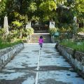 mandarini,eriche,olive cunzate e ottimismo[...]