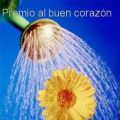 Premio Al Buen Corazon