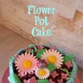 Flower Pot Cake