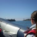 Escursione nell' Oceano