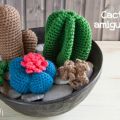Cactus a uncinetto