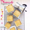 Plumcake leggerissimi allo yogurt e gocce di[...]