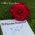 Il Piccolo Principe