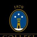 Birre Artigianali Tenute COLLESI
