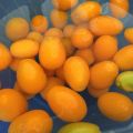 Marmellata di MANDARINI CINESI