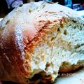 Foglie d'ulivo al pomodoro e pane casereccio[...]