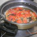 FILETTI  DI PANGASIO AL POMODORO  E FILANTE
