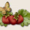 Polpette di Tonno