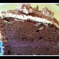 TORTA DELICE AL CIOCCOLATO FARCITA CON PANNA E[...]