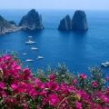 CURIOSITA' CAPRESE