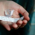Quelli che sembravano dei biscotti cinesi