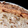 Ricetta Pane Integrale con grano germogliato e[...]