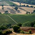 Toscana mon amour